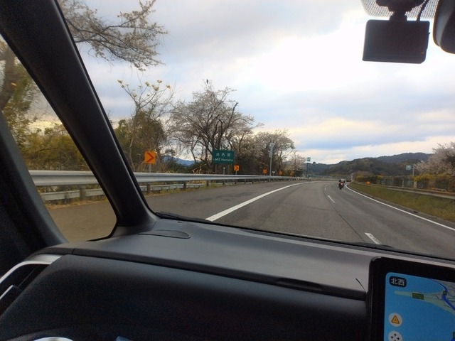 IMG_20250406_152827~2.jpg